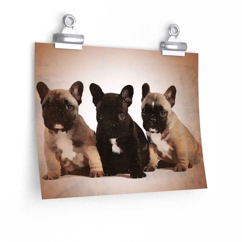 Frenchie Puppies Wall Art Premium Matte Poster