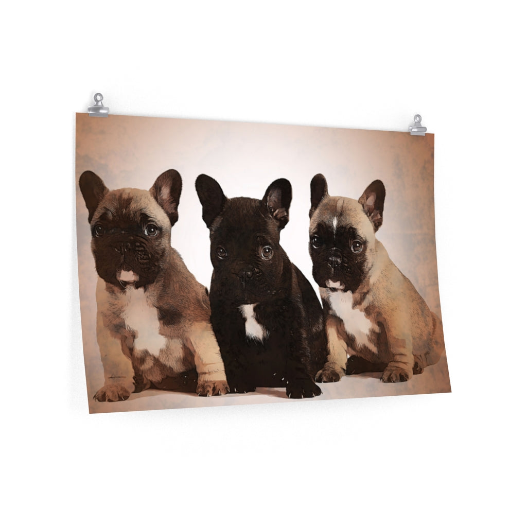 Frenchie Puppies Wall Art Premium Matte Poster