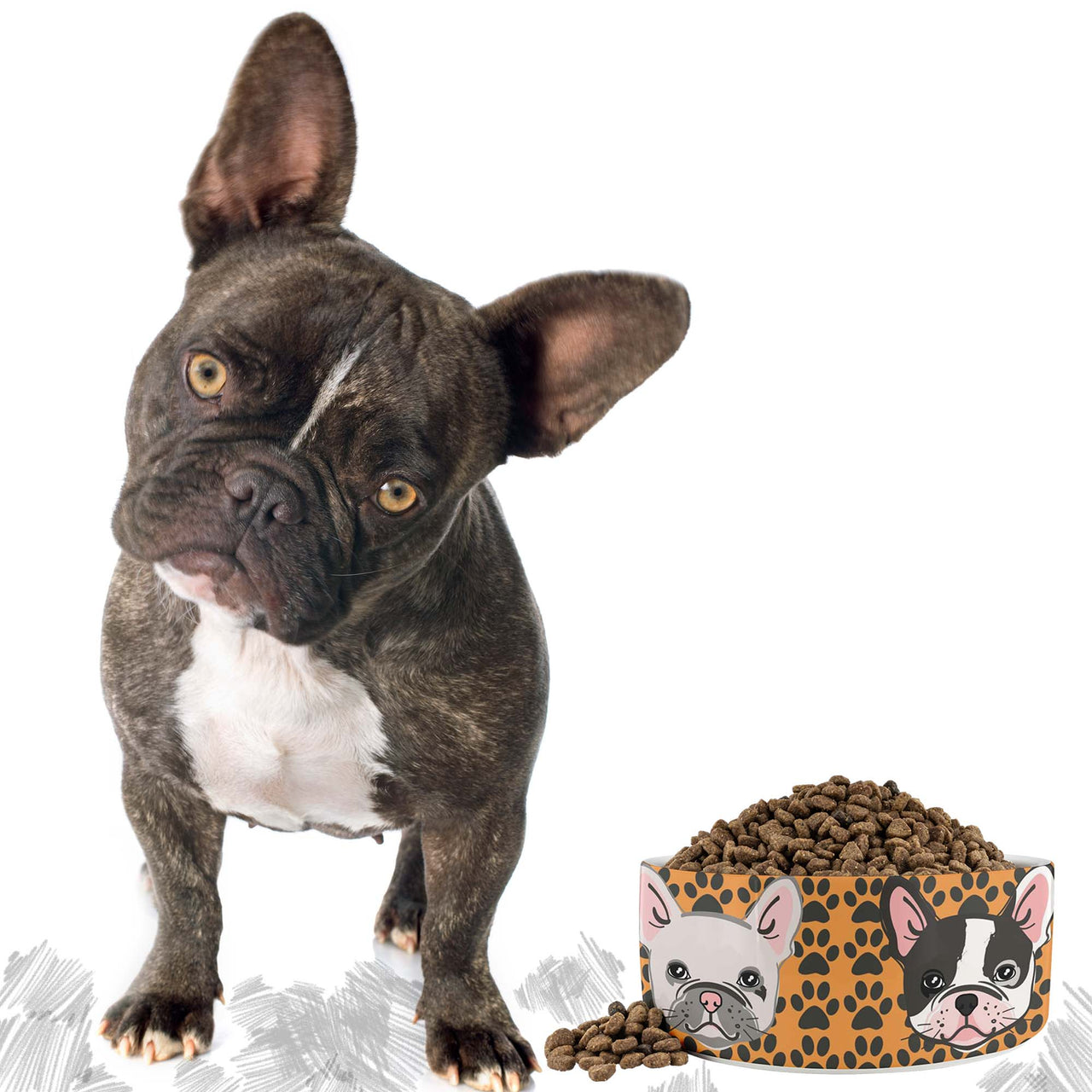 French Bulldog Food Bowl Frenchie Dog Dish