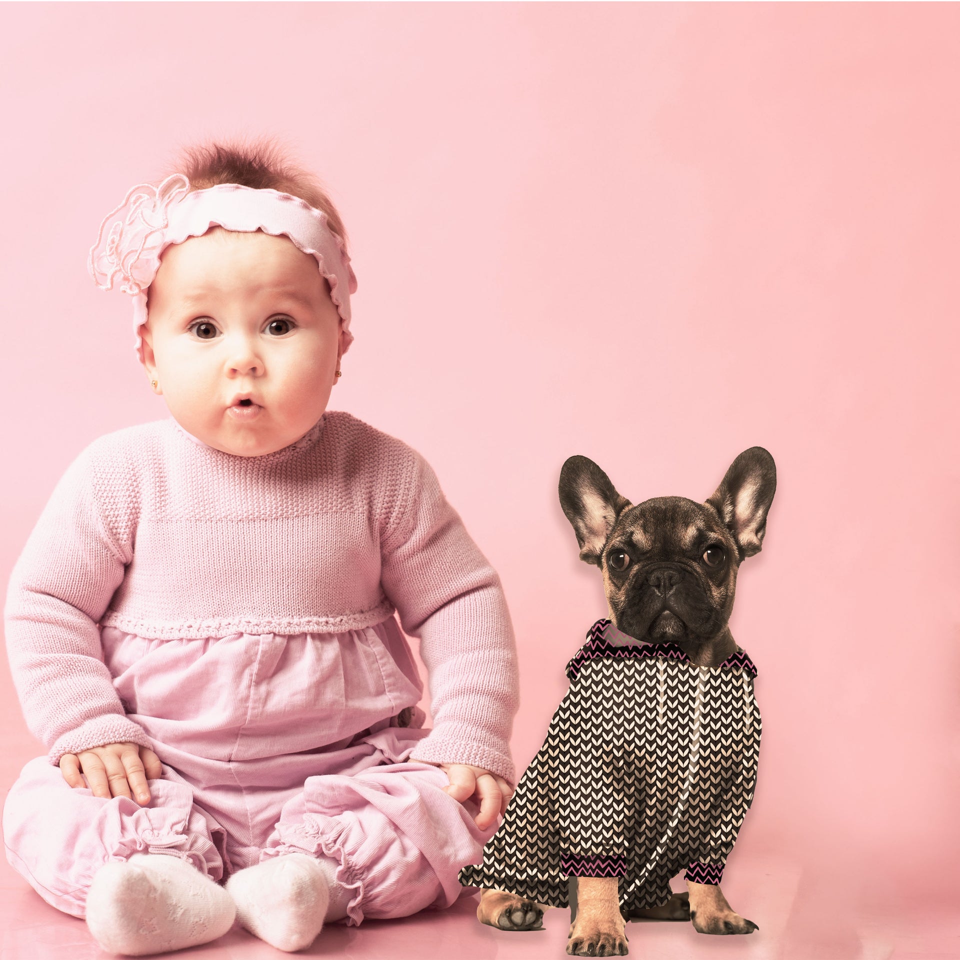 zip-up dog hoodie black white and pink