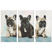 3 piece canvas art french bulldog puppies